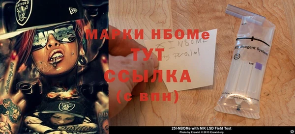 сатива Аркадак
