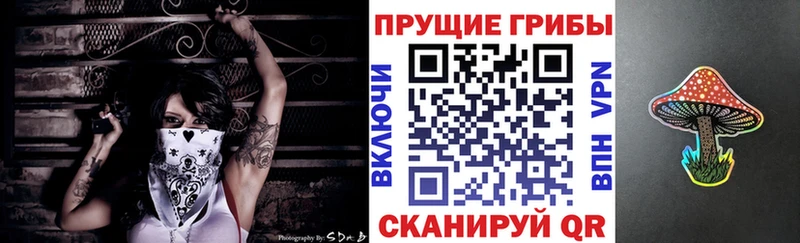 Псилоцибиновые грибы Psilocybine cubensis  Аша 
