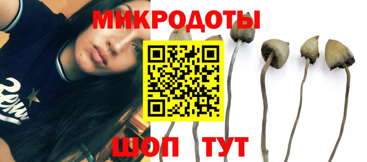 Аша  Галлюциногенные грибы Cubensis  Псилоцибиновые грибы ЛСД  Вход с VPN 