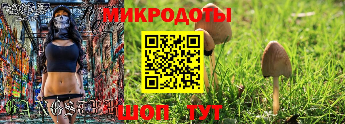 Псилоцибиновые грибы прущие грибы Аша